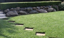 garden neat