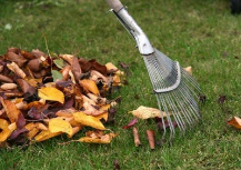 raking leaves