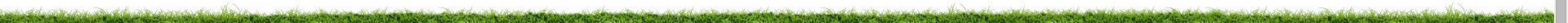 cross section side view of turf no soil