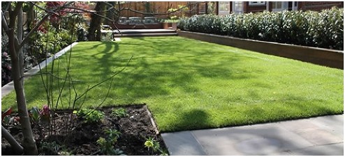 garden lawn nice